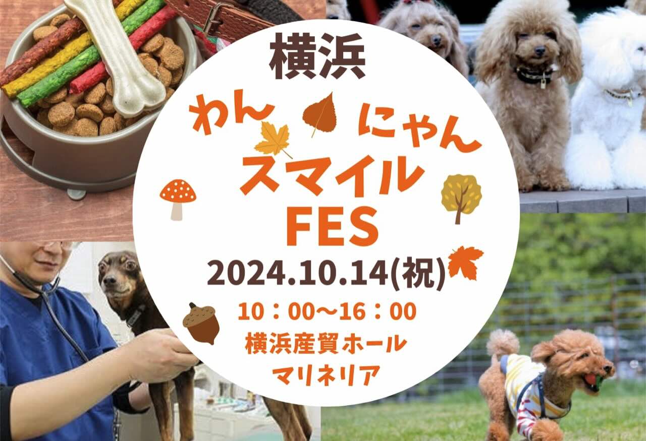 わんにゃんスマイルFES 2024・秋in横浜の画像