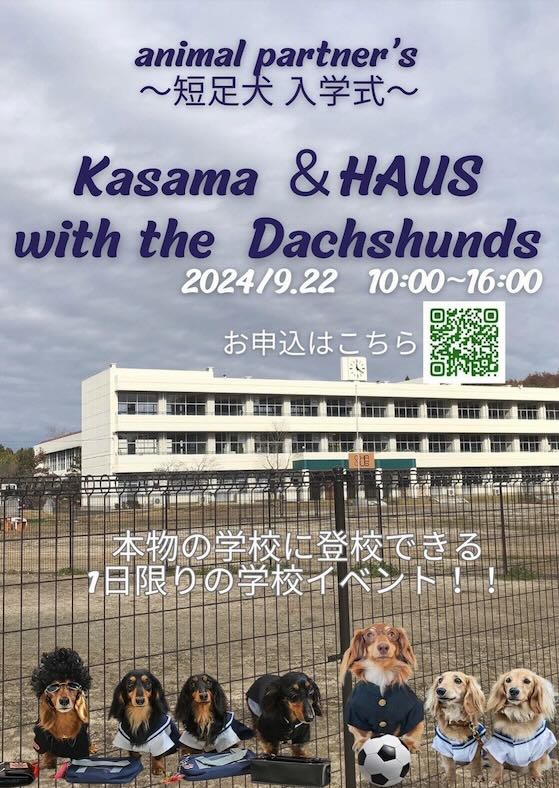 Kasama &HAUS with the Dachshunds ダックスフンド学校の画像