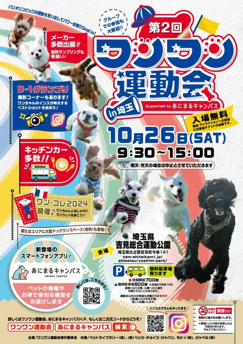 第2回 ワンワン運動会 in 埼玉の画像