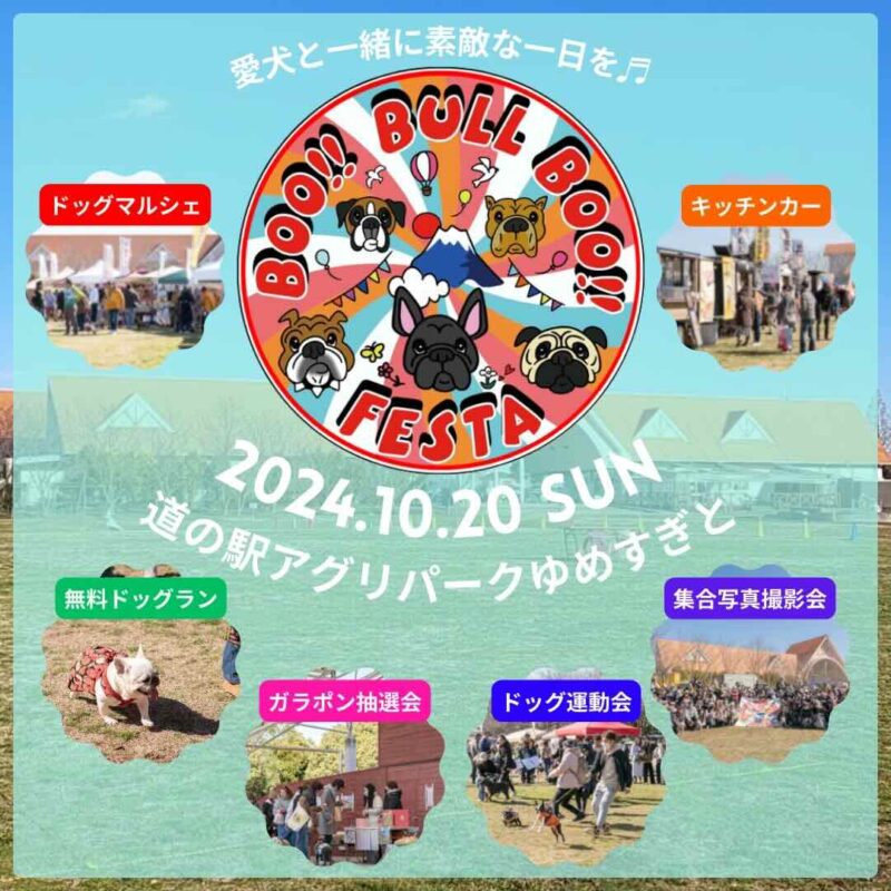 BOO!! BULL BOO!! FESTA の画像