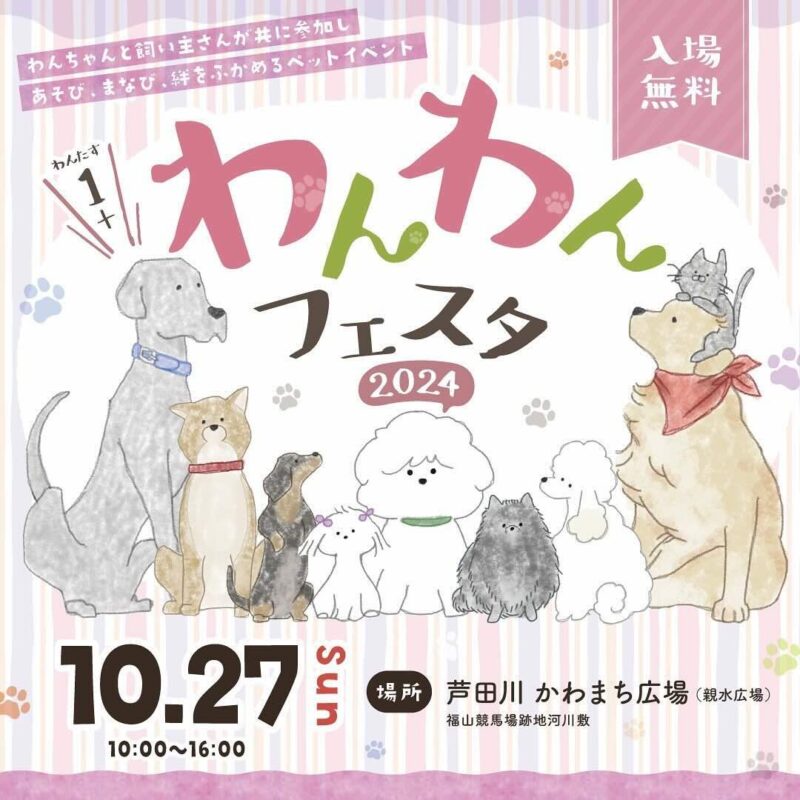 1+わんわんフェスタ2024の画像