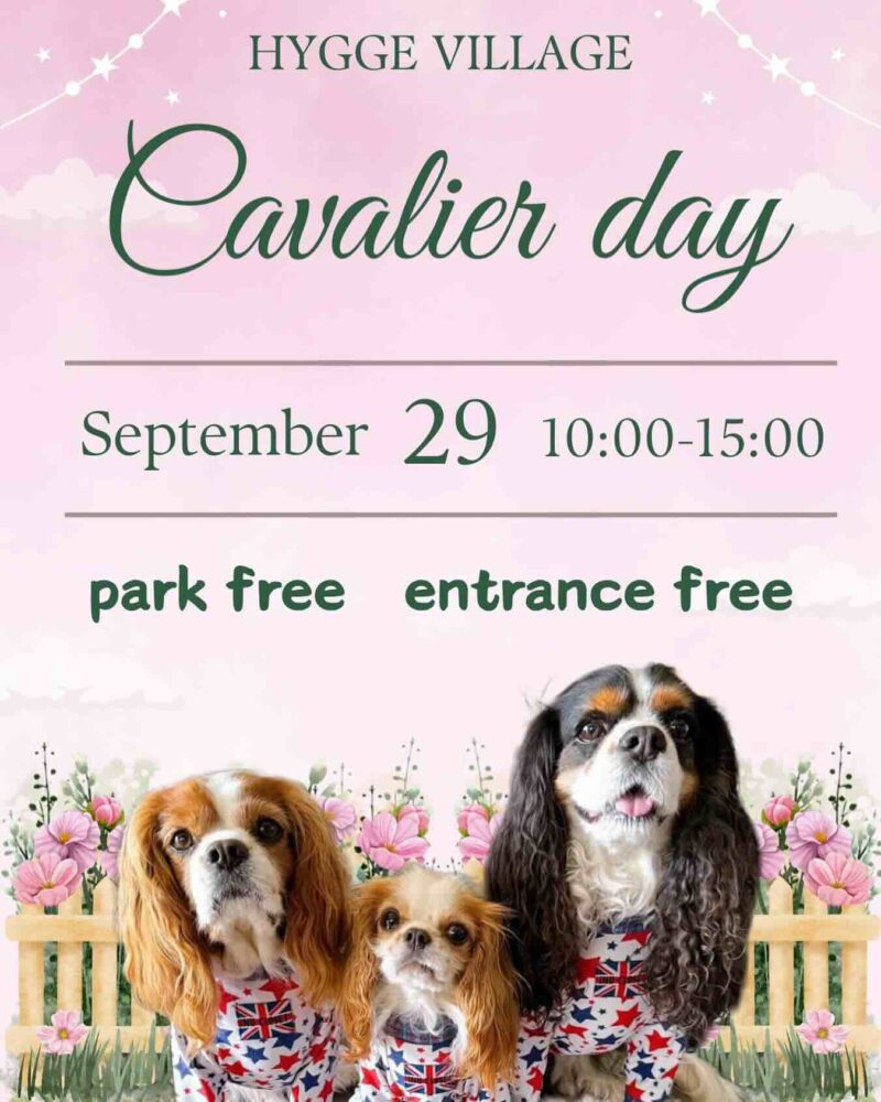 キャバリアDAYの画像