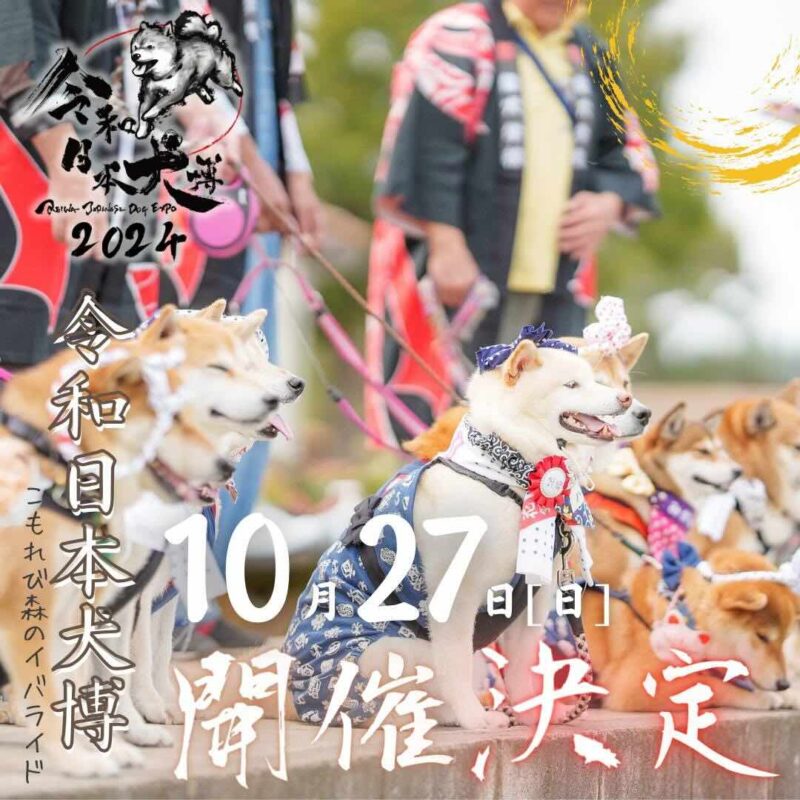 令和日本犬博 2024の画像