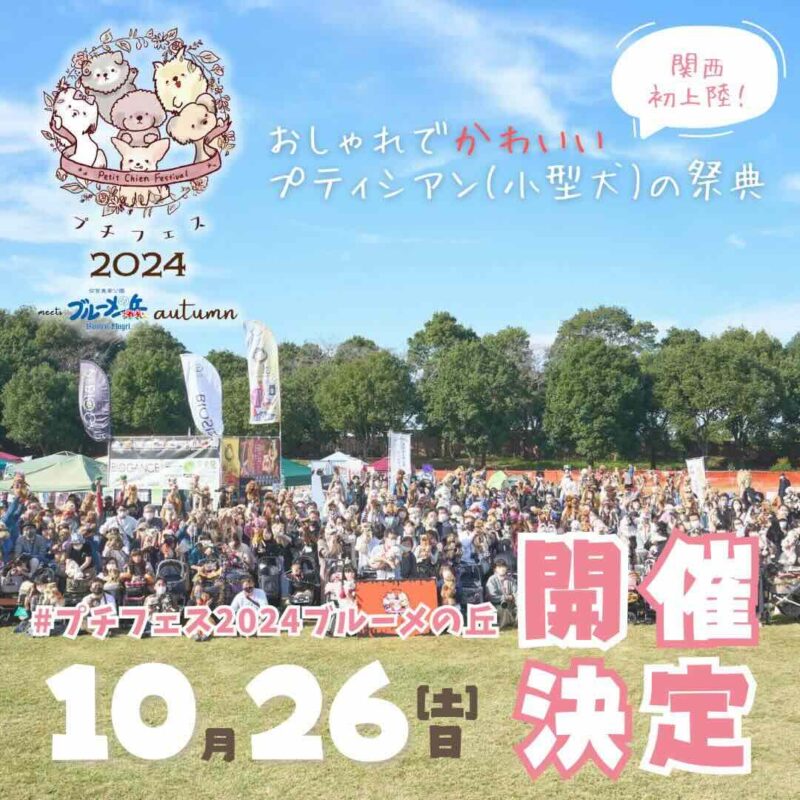 プチフェス 2024 meets 滋賀農業公園ブルーメの丘の画像