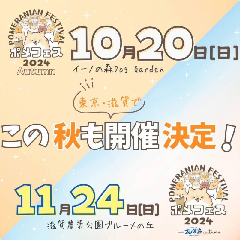 ポメラニアンフェスティバル 2024 meets 滋賀農業公園ブルーメの丘 Autumnの画像