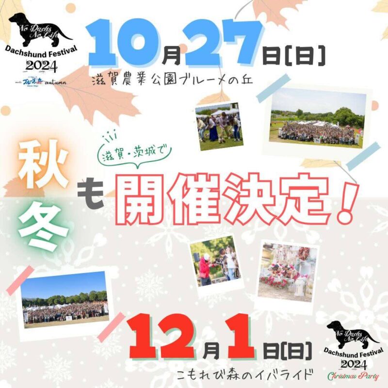 ダックスフントフェス2024の画像