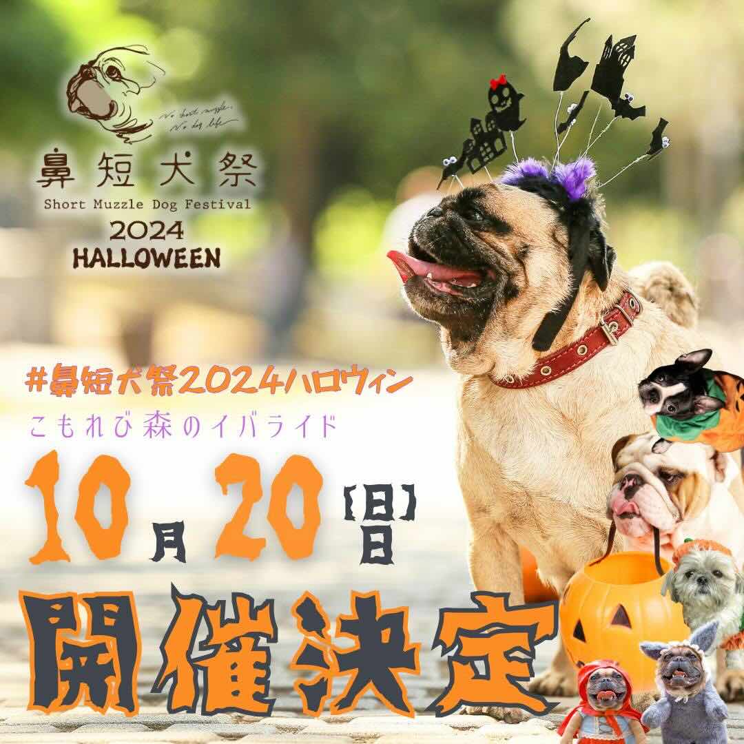 鼻短犬祭 2024 ハロウィンの画像