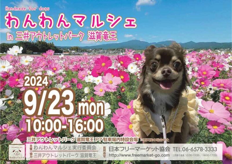 わんわんマルシェin三井アウトレットパーク滋賀竜王Vol.10の画像