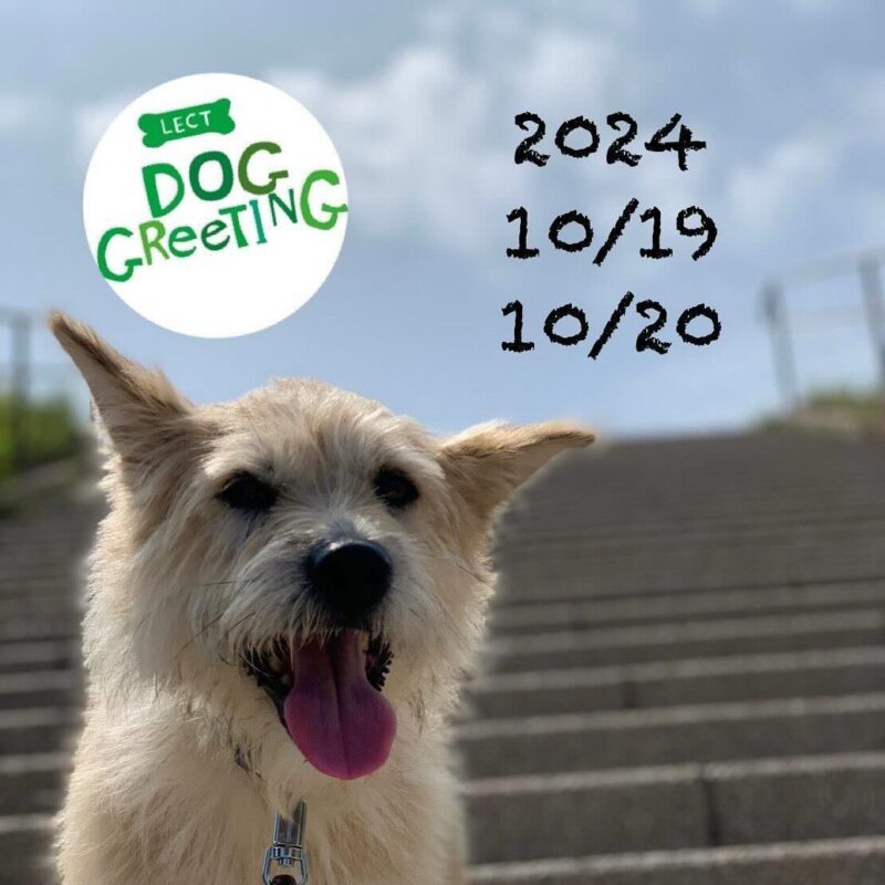 LECT DOG GreeTING （レクト ドッググリーティング）の画像