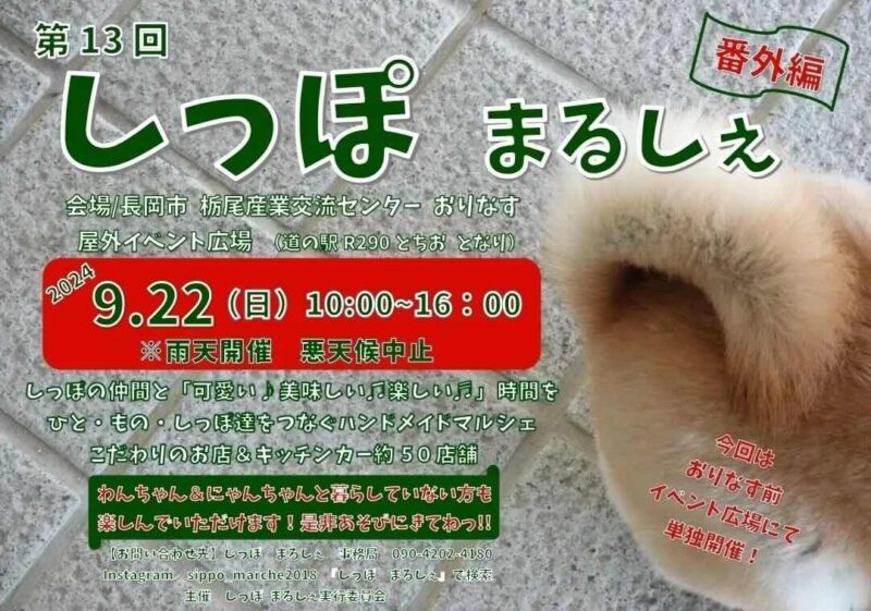 第13回しっぽまるしぇの画像