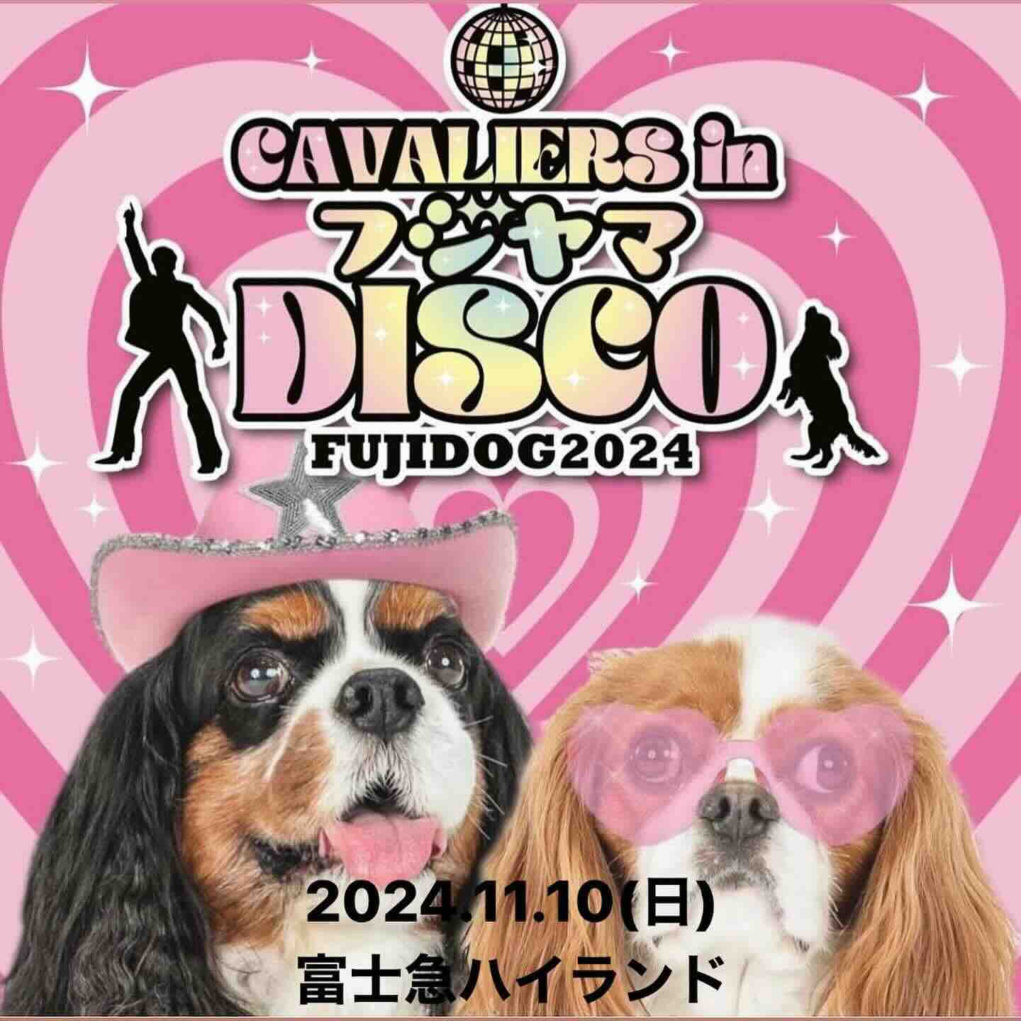 FUJI DOG 2024 〜CAVALIERS in フジヤマDISCO〜の画像