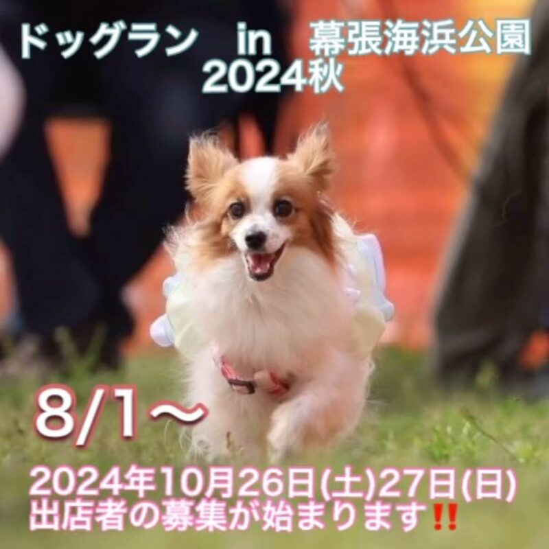 ドッグラン in 幕張海浜公園 2024秋の画像