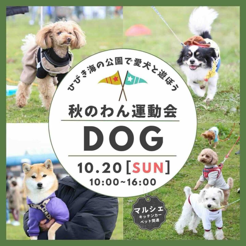 秋のわん運動会の画像