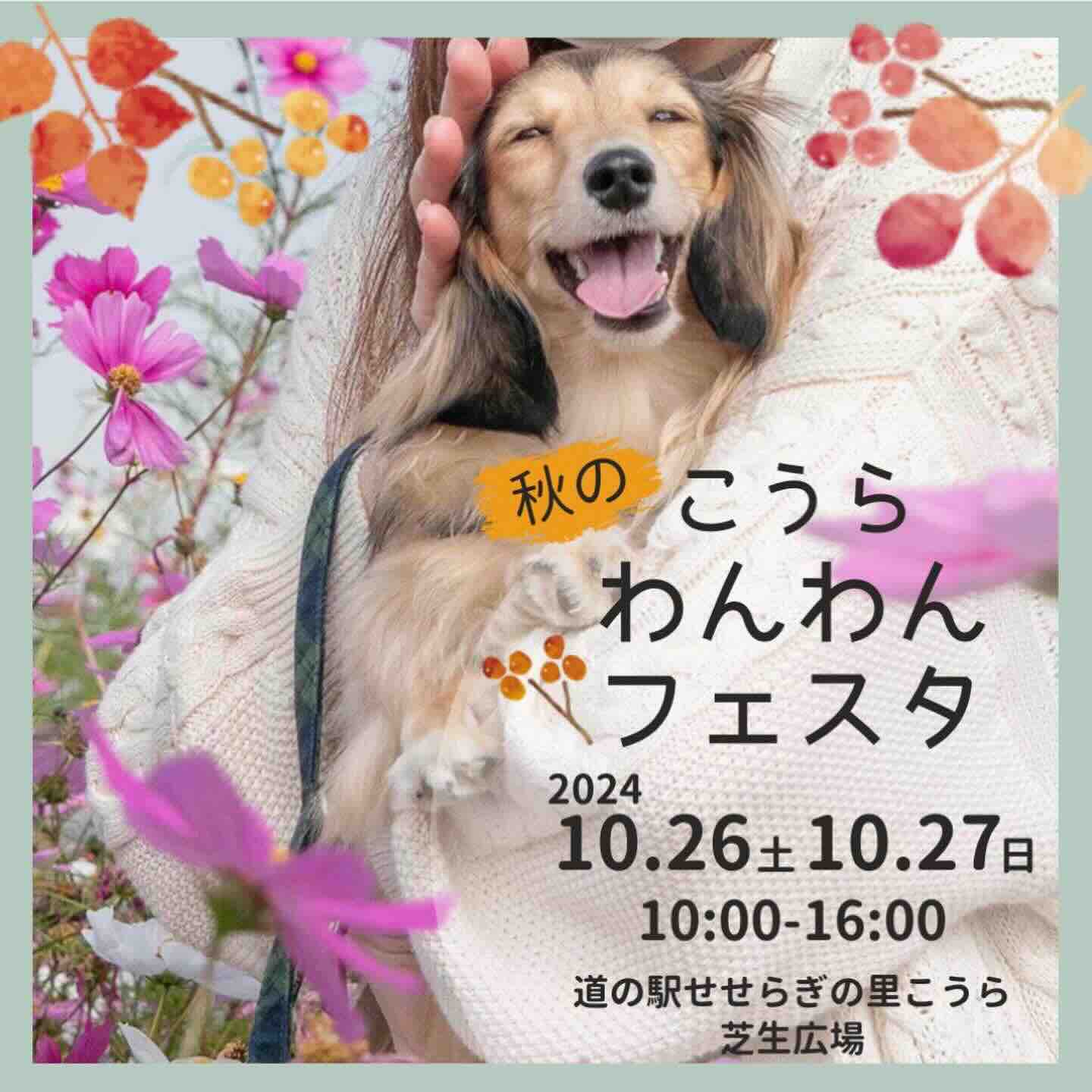 第3回 道の駅こうらわんわんフェスタの画像