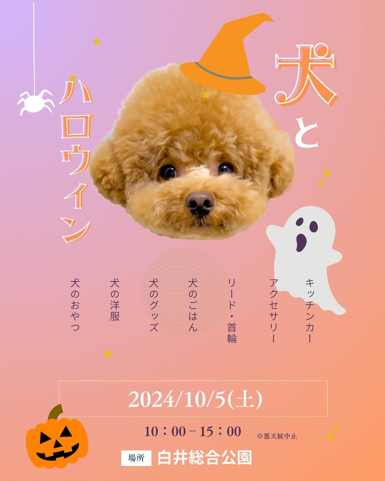 THE DOG FES-犬とハロウィン-の画像
