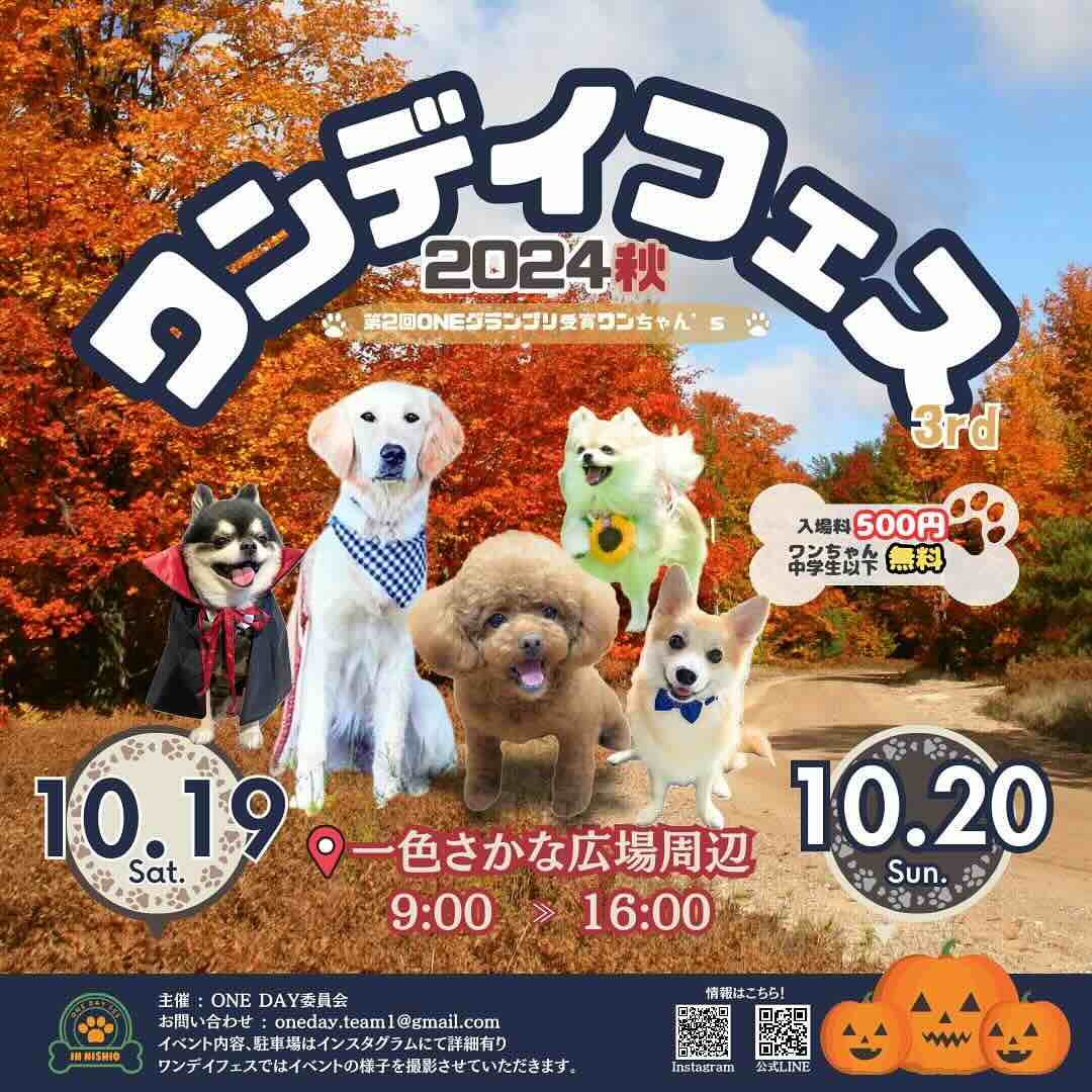 第3回 ワンデイフェスの画像