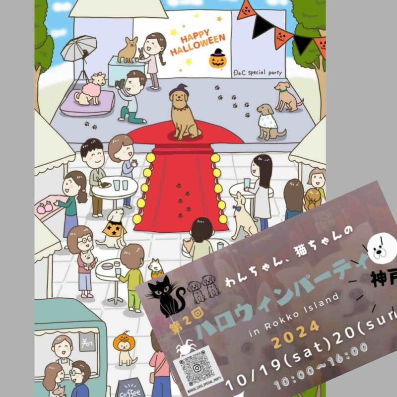 第2回Dogs&Cats special party ハロウィンパーティー&KDC神戸ドッグコレクションの画像