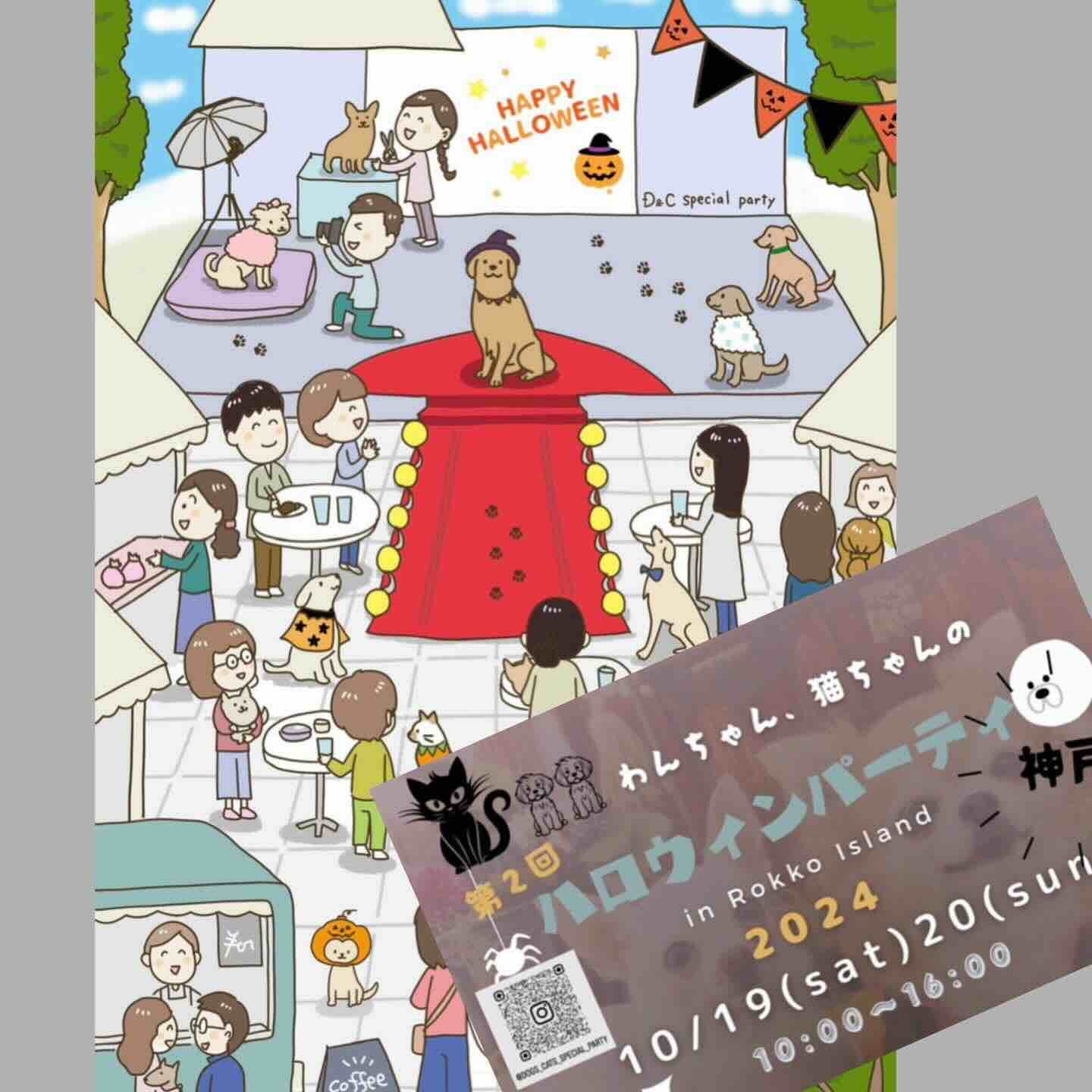 兵庫県神戸市】2024年10月19日（土）、20日（日）わんちゃん猫