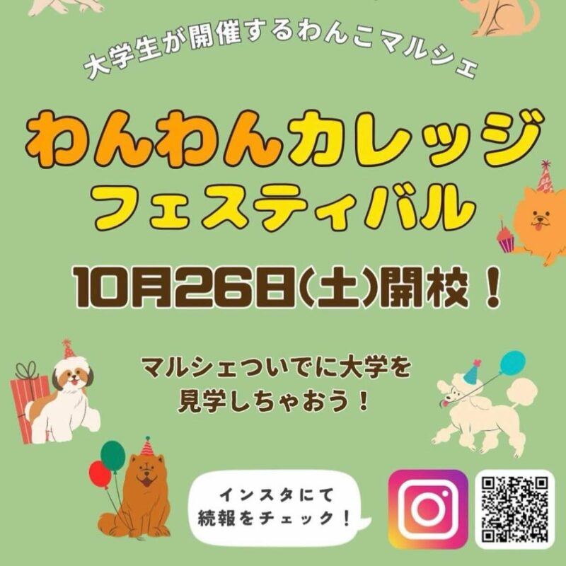 わんわんカレッジフェスティバルの画像