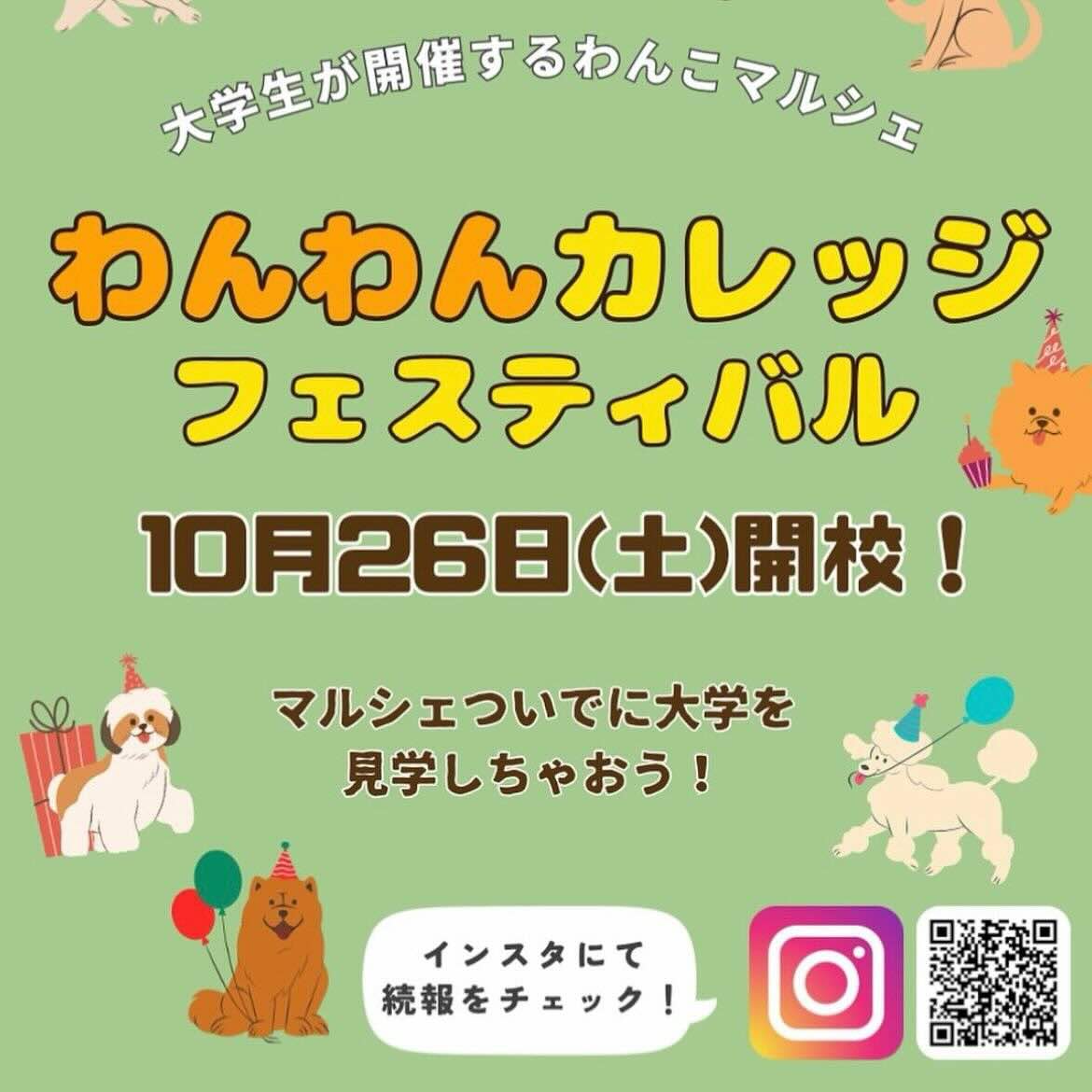 わんわんカレッジフェスティバルの画像