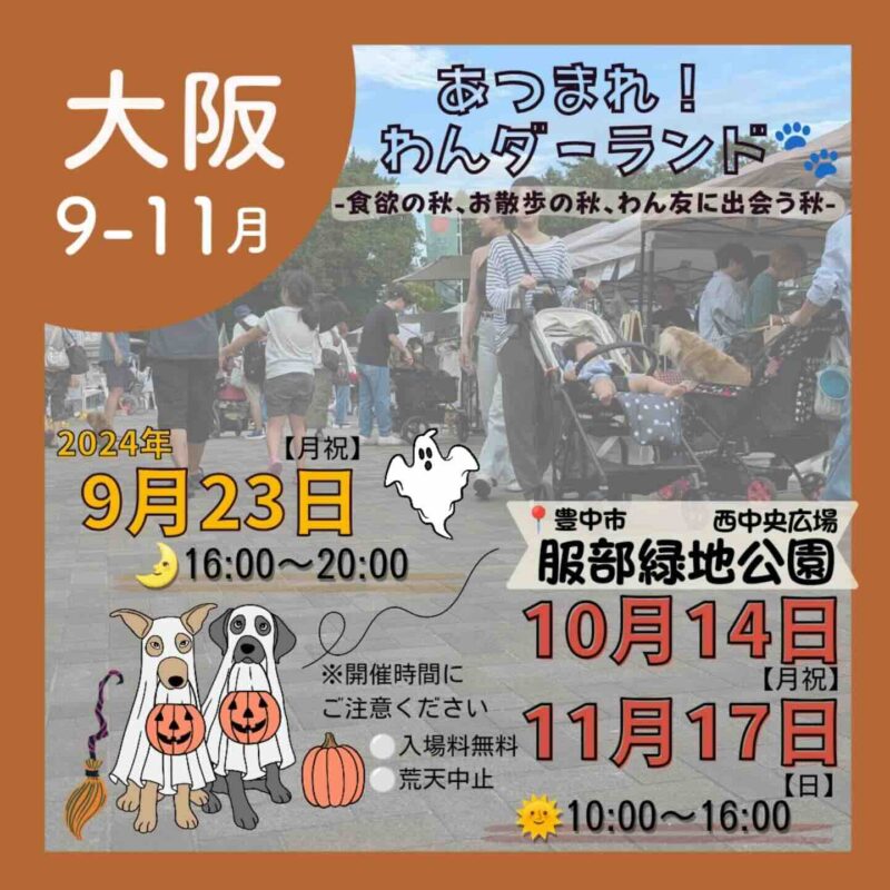 あつまれ！わんダーランド