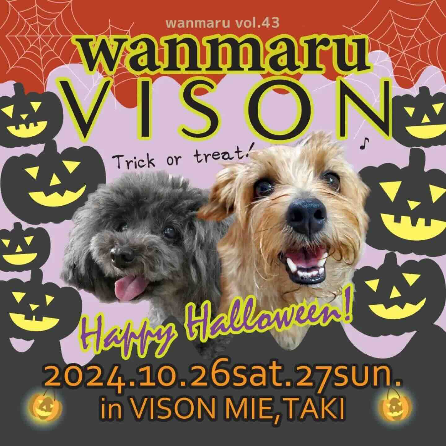 第43回 わんマルVISON の画像
