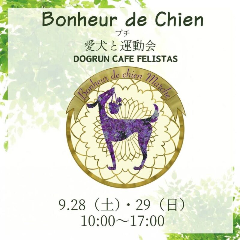 第3回 Bonheur de Chien Marche~愛犬とプチ運動会~の画像