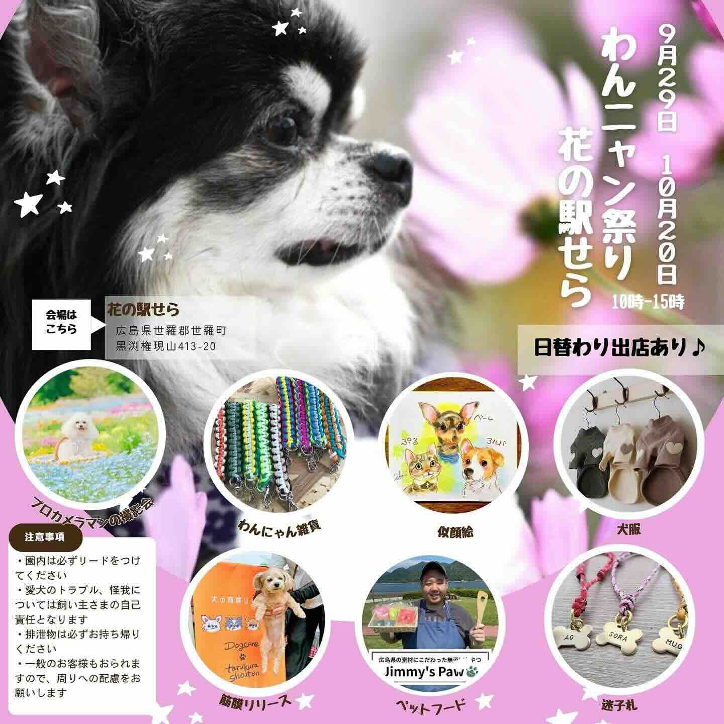 わんニャン祭り in 花の駅せらの画像