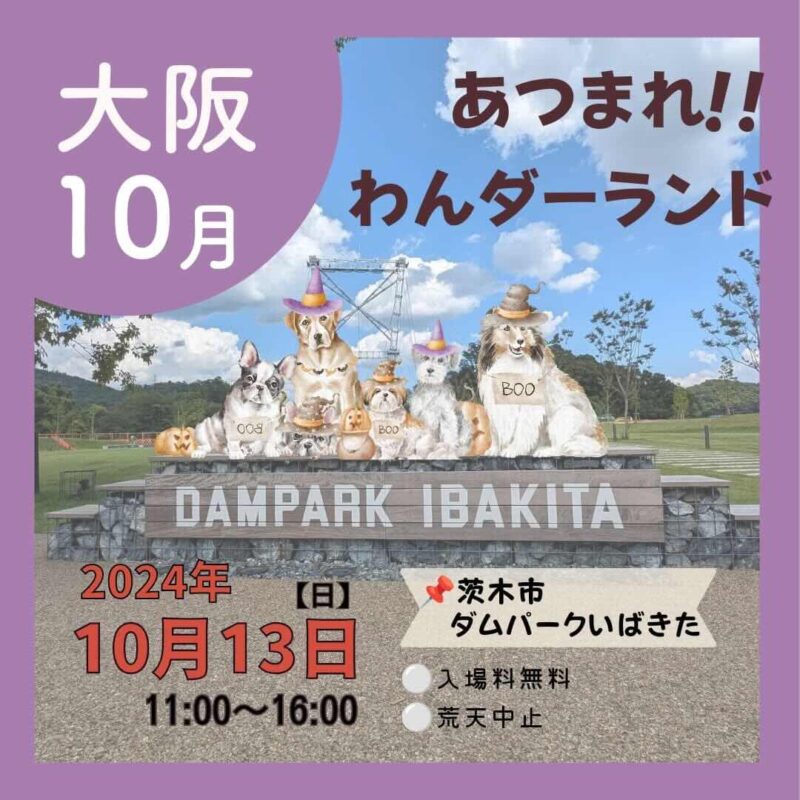 あつまれ！わんダーランドの画像