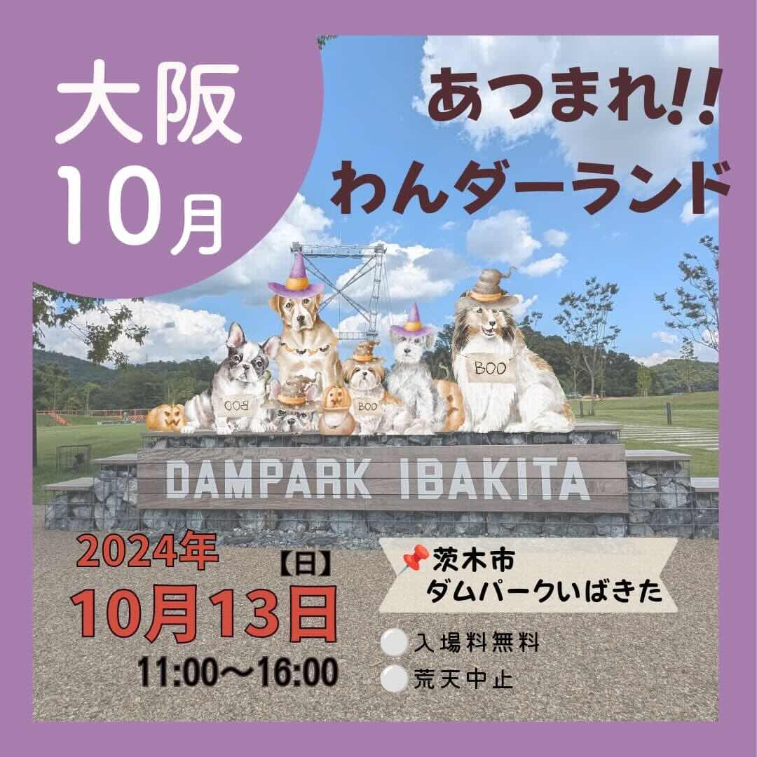 あつまれ!わんダーランドの画像