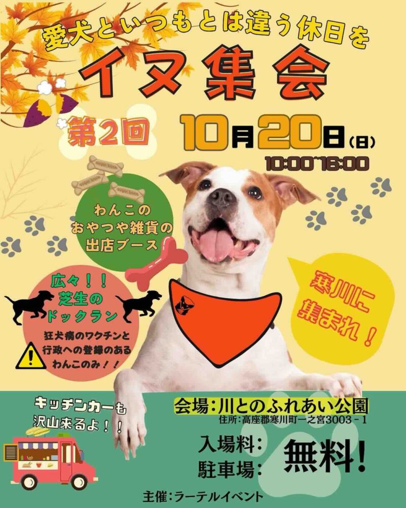 第2回 イヌ集会の画像