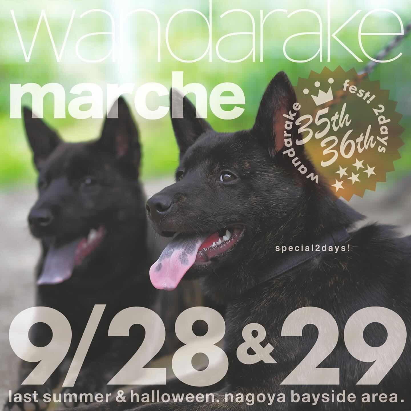 wandarake fest ! 35 & 36（わんだらけフェス） の画像