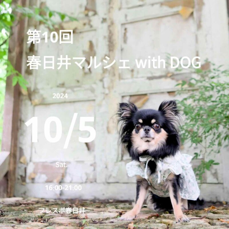 第10回 春日井マルシェ with DOGの画像