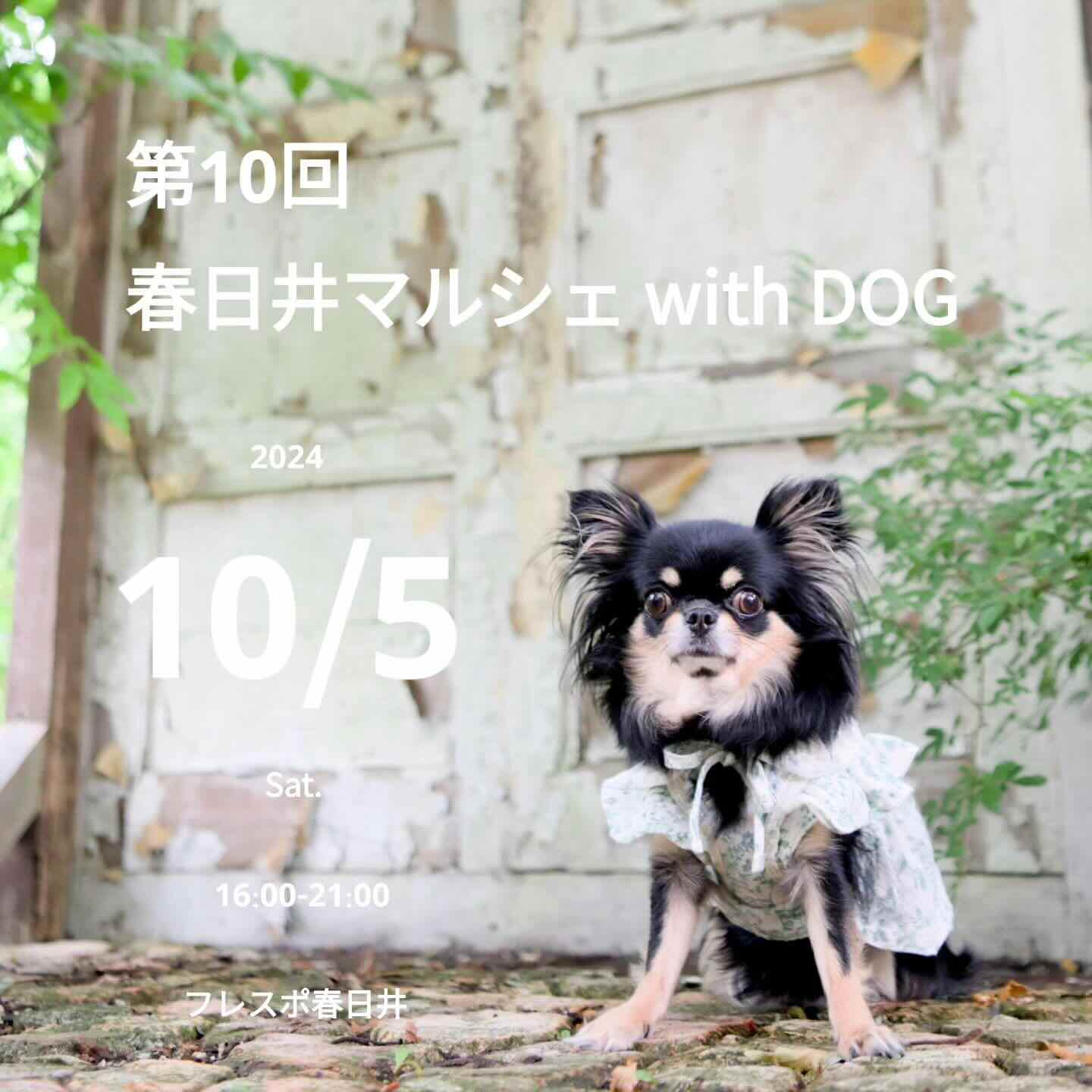 第10回 春日井マルシェ with DOGの画像
