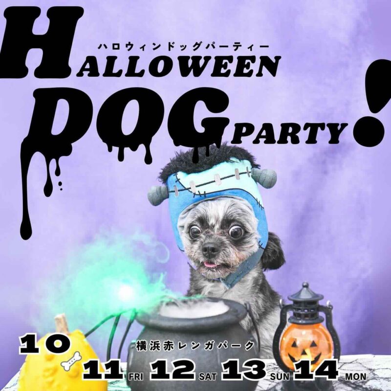 BAY WALK MARKET 2024-HALLOWEEN DOG PARTY! 2024-の画像