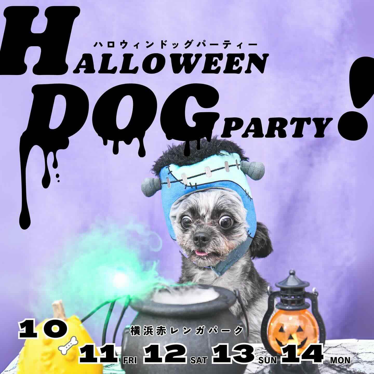 BAY WALK MARKET 2024-HALLOWEEN DOG PARTY! 2024-の画像