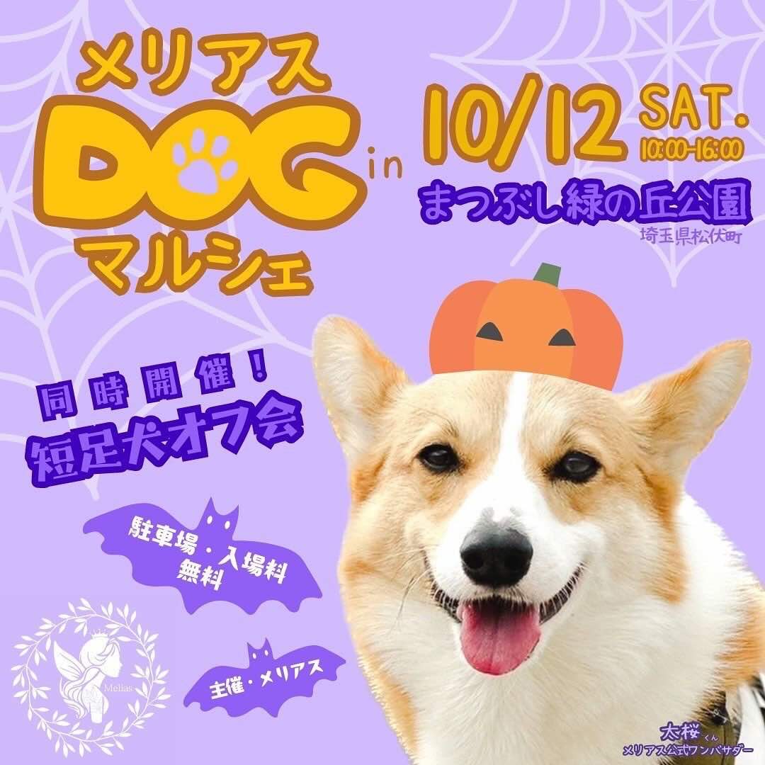 メリアスドックマルシェ -ハロウィン&周年祭-の画像