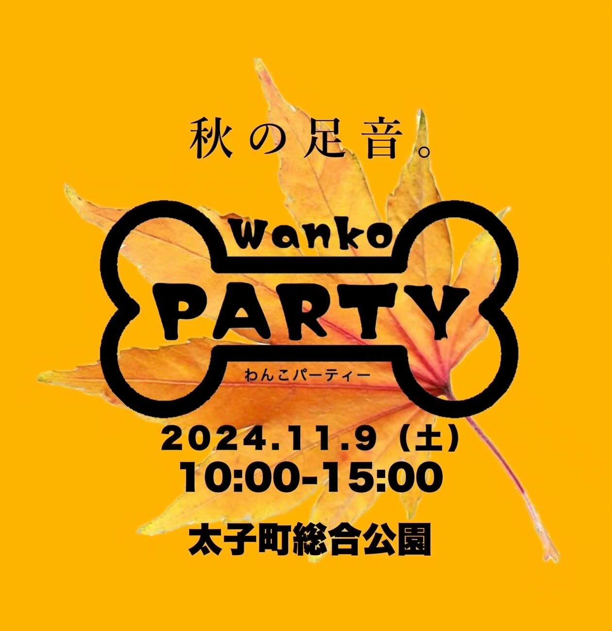 第6回 wankoPARTY(わんこパーティー)の画像