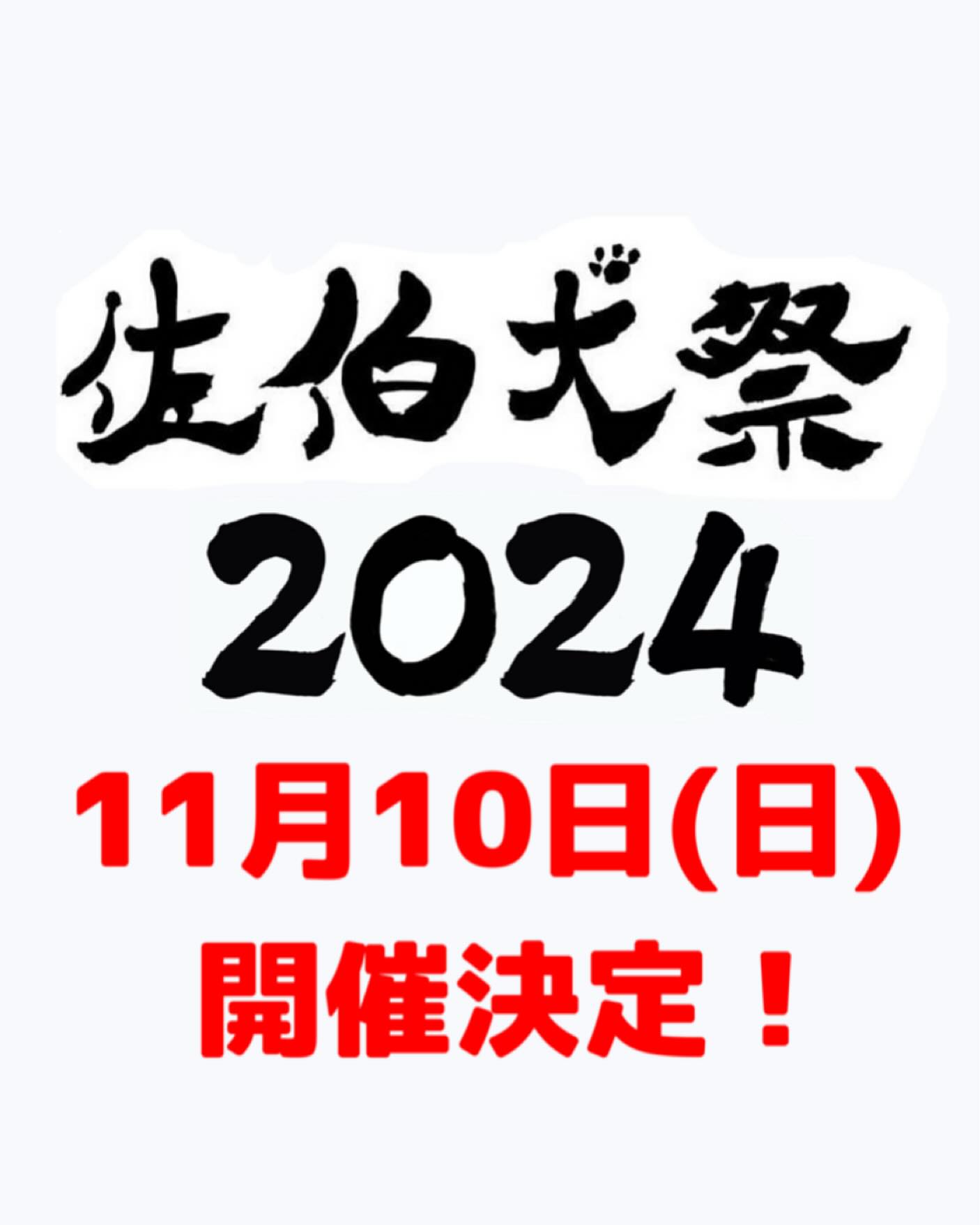 佐伯犬祭2024-saiki dog festivall-の画像