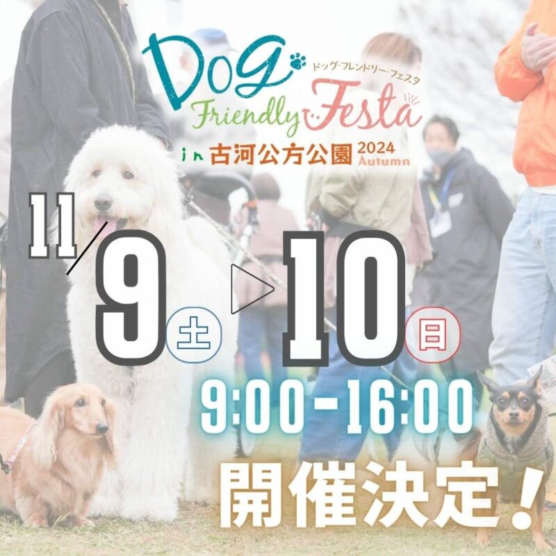 ドッグフレンドリーフェスタ in 古河公方公園2024 Autumnの画像