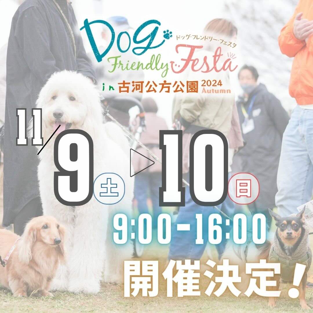 ドッグフレンドリーフェスタ in 古河公方公園2024 Autumnの画像
