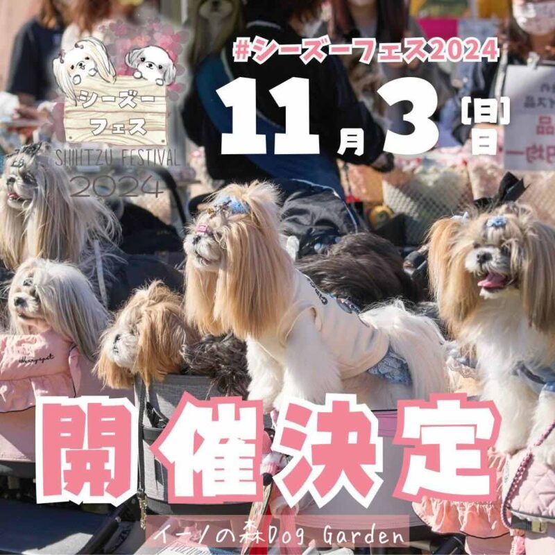 シーズーフェス2024の画像