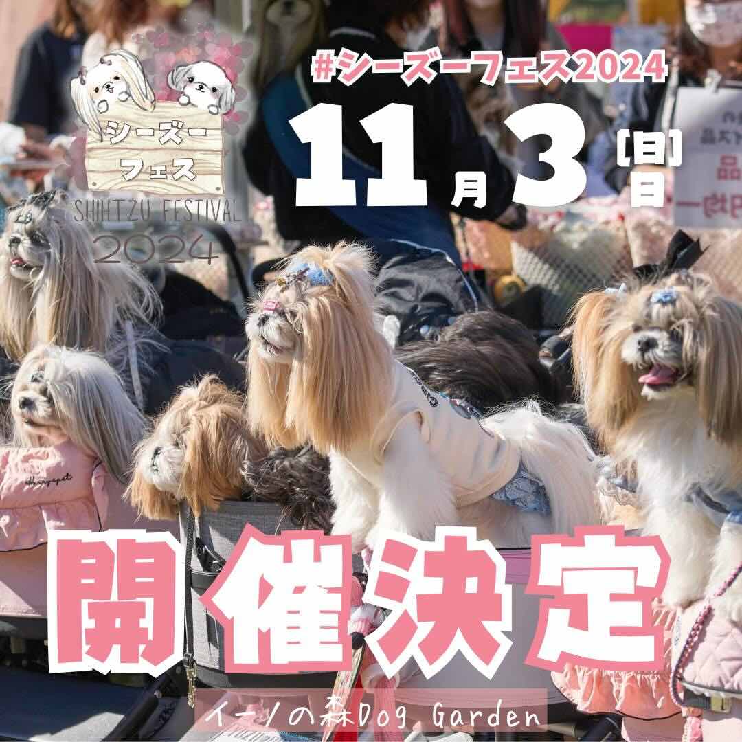 シーズーフェス2024の画像