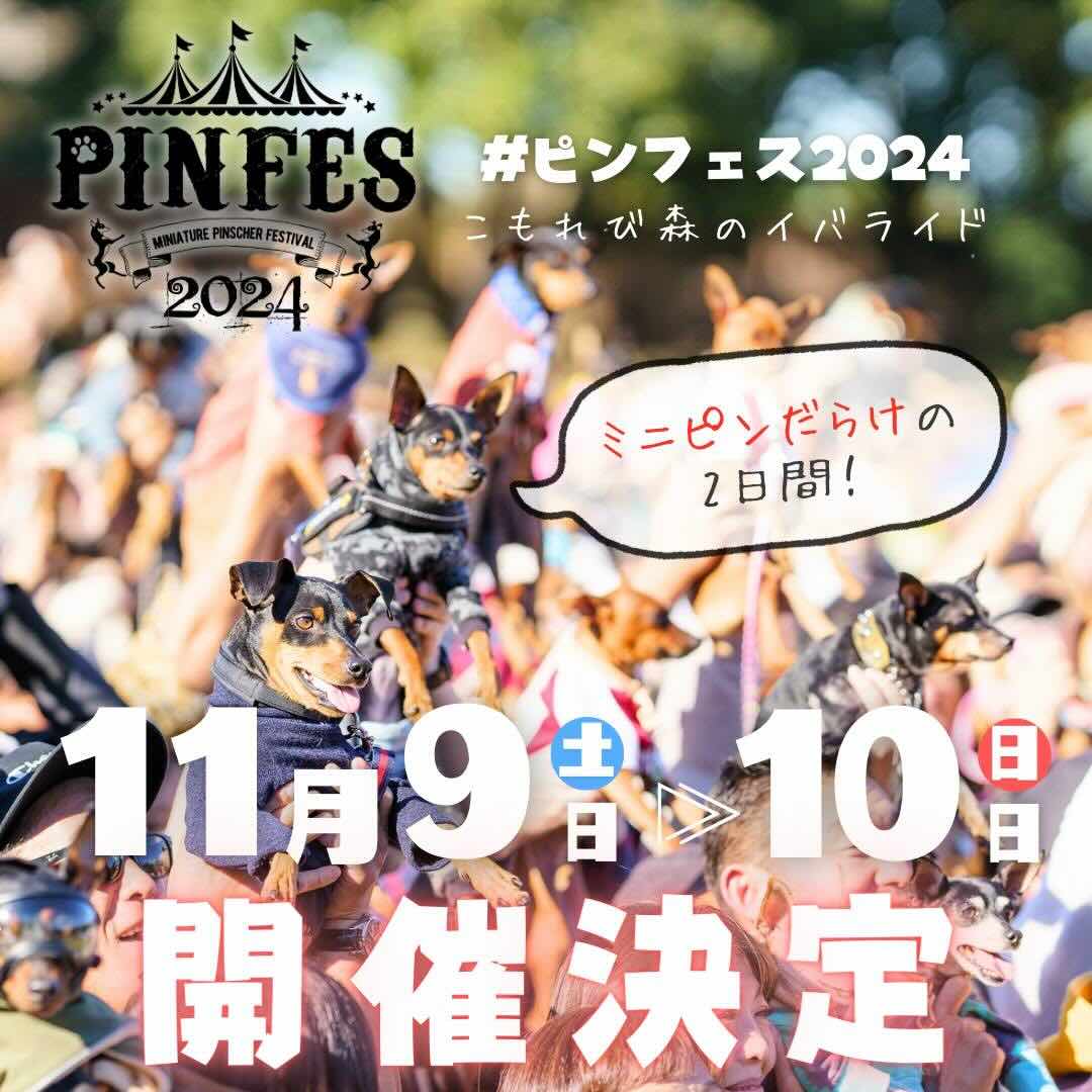 ピンフェス 2024の画像