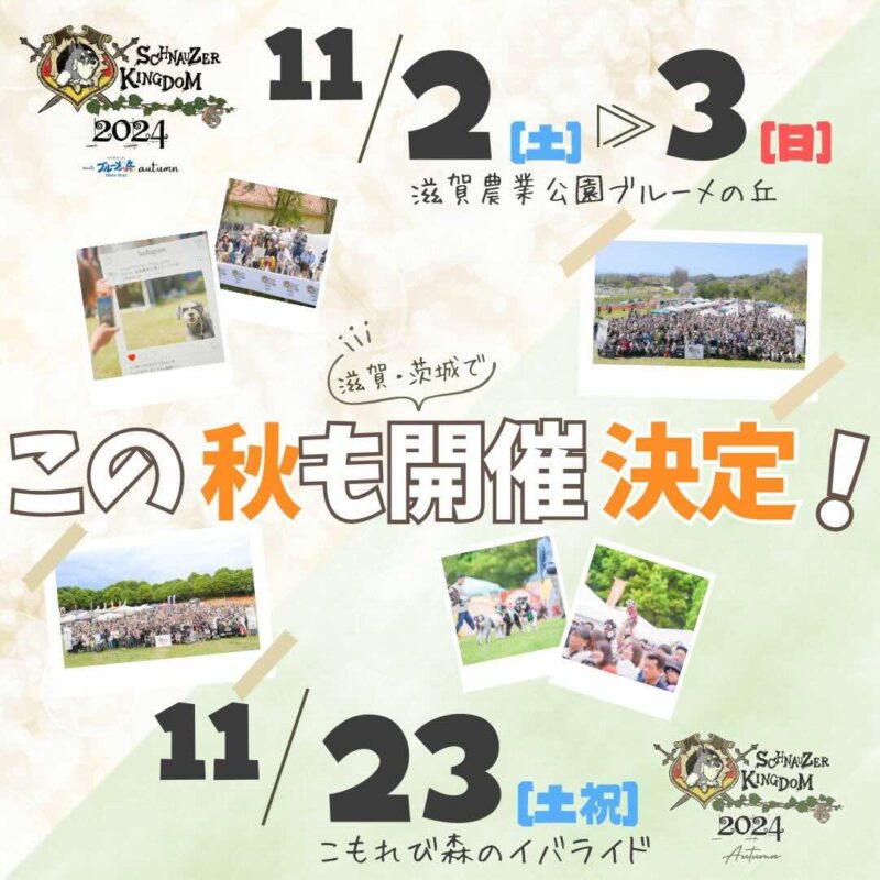 シュナウザーキングダム 2024 Autumnの画像