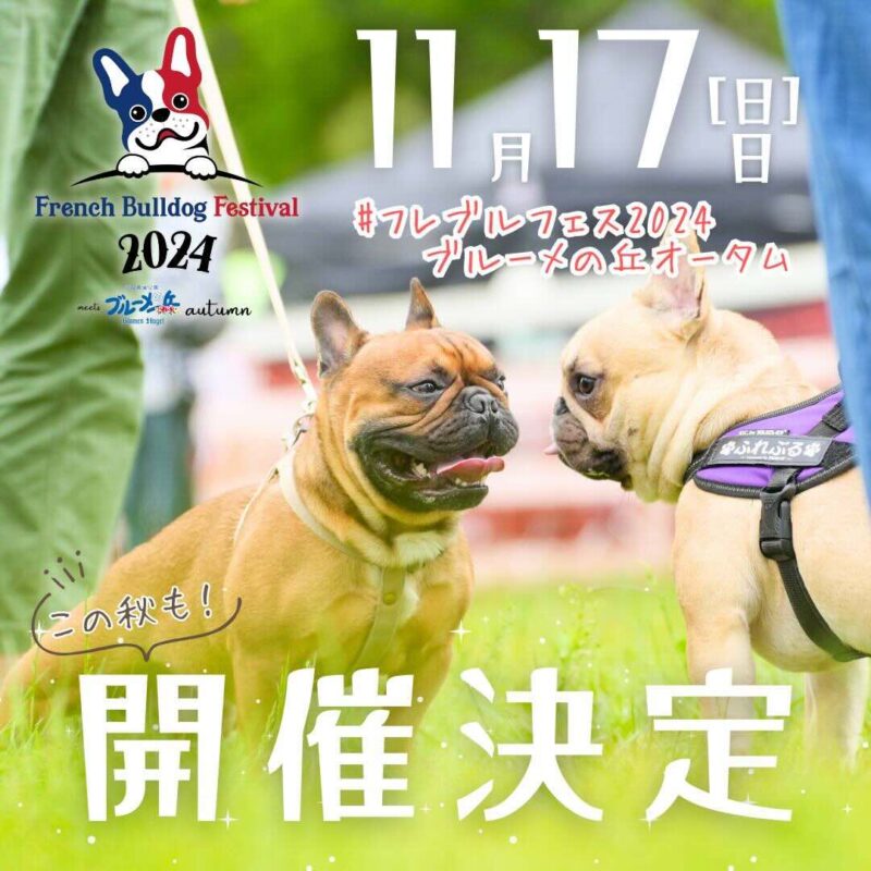 フレブルフェス 2024 meets 滋賀農業公園ブルーメの丘 Autumnの画像