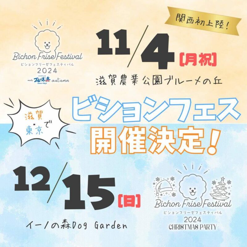 ビションフリーゼフェスティバル 2024の画像