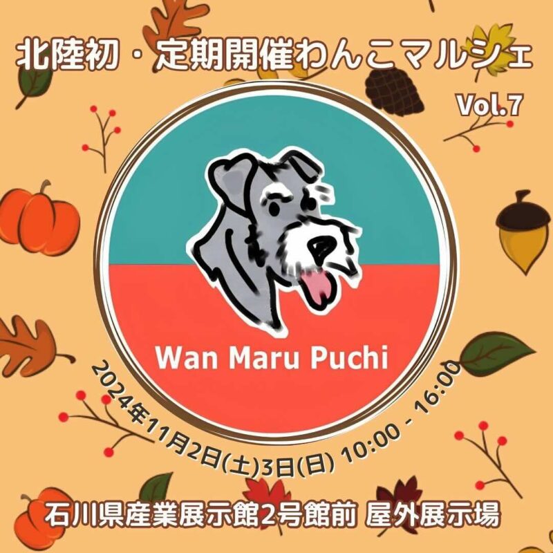 ワンまるプチ vol.7の画像