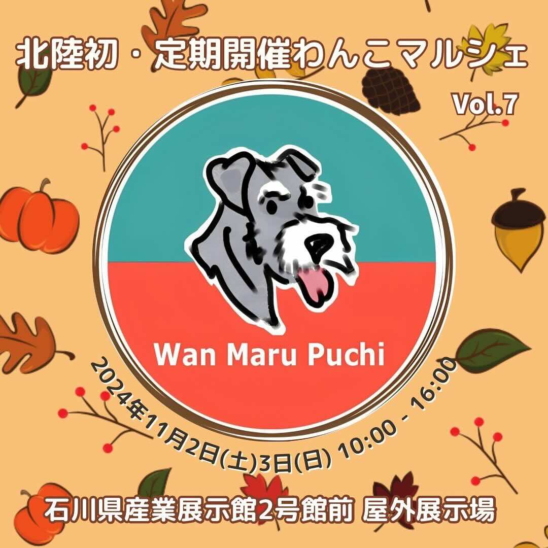 ワンまるプチ vol.7の画像