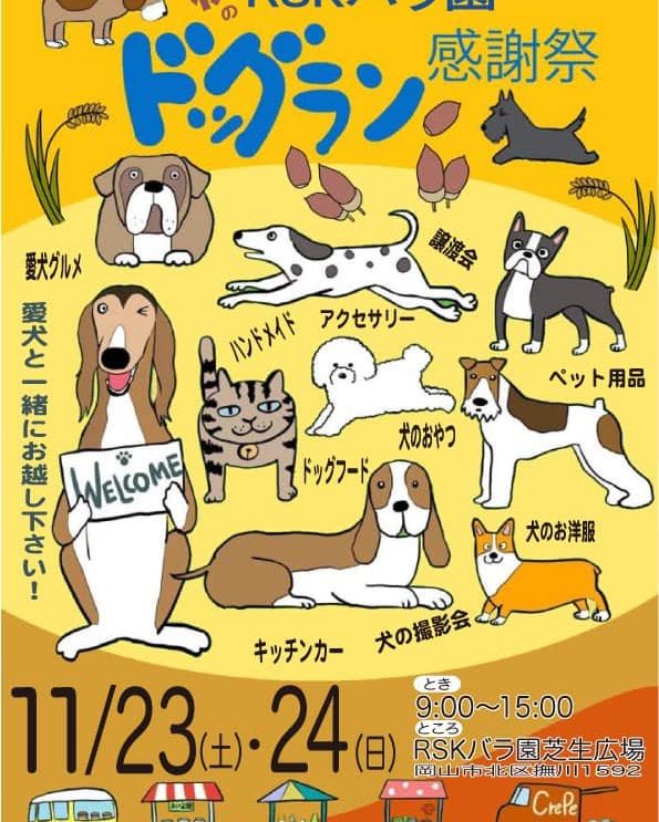 RSKバラ園ドッグラン秋の感謝祭の画像